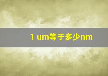 1 um等于多少nm